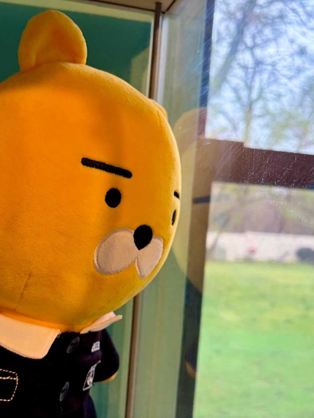 Kakao Friends Plush 💛 Ryan in School Uniform